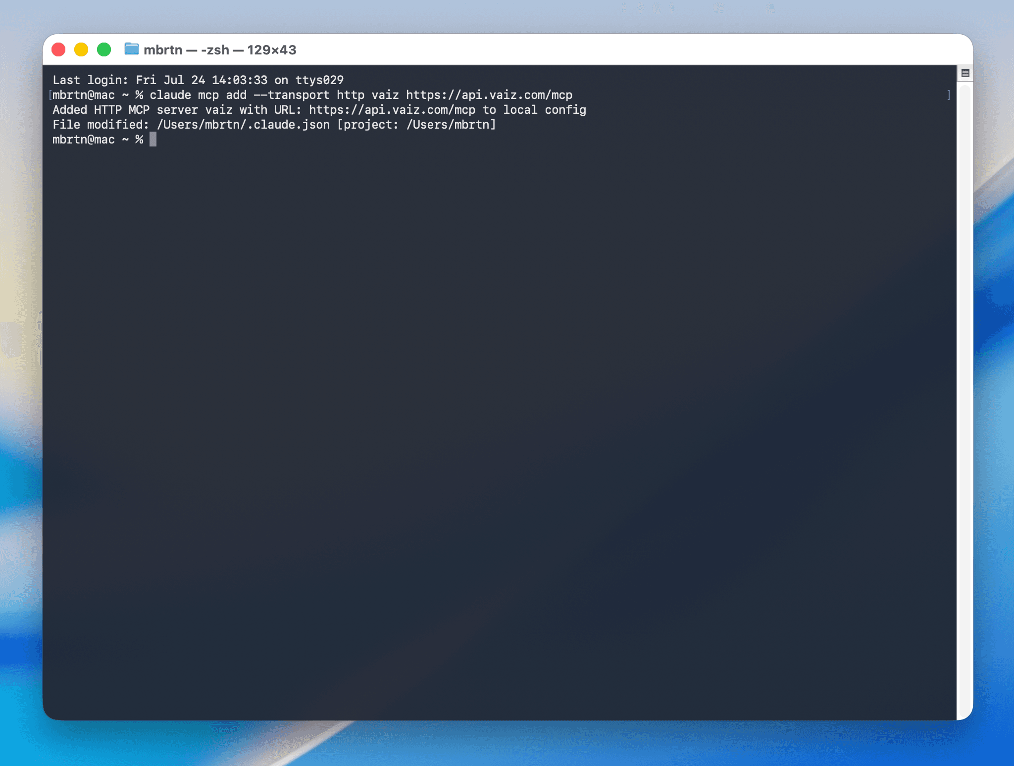Terminal output after adding the Vaiz HTTP MCP server