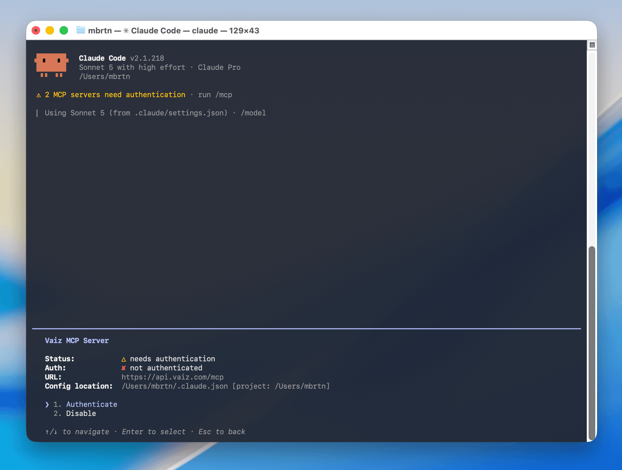 Authenticate option for the Vaiz MCP server